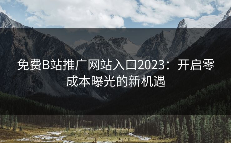 免费B站推广网站入口2023：开启零成本曝光的新机遇
