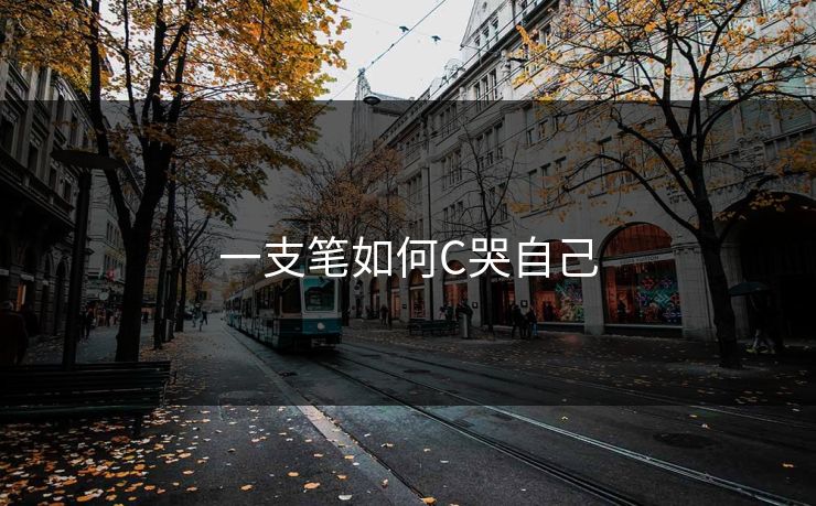 一支笔如何C哭自己