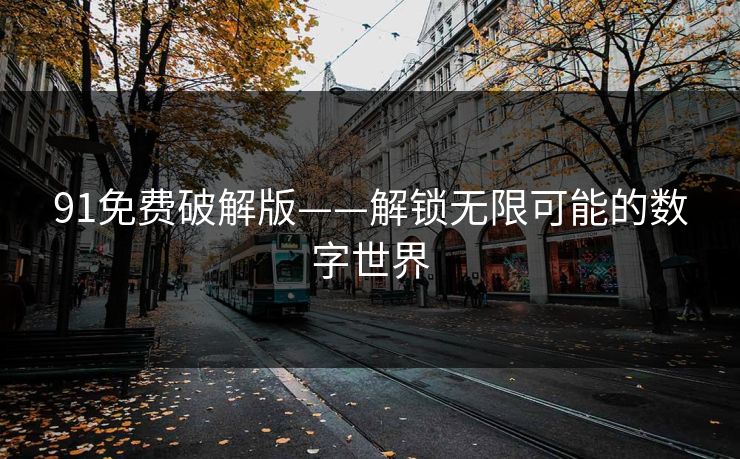 91免费破解版——解锁无限可能的数字世界