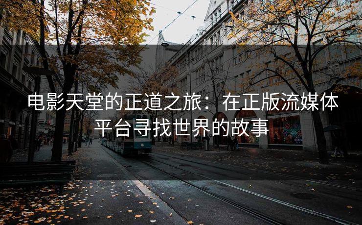 电影天堂的正道之旅：在正版流媒体平台寻找世界的故事