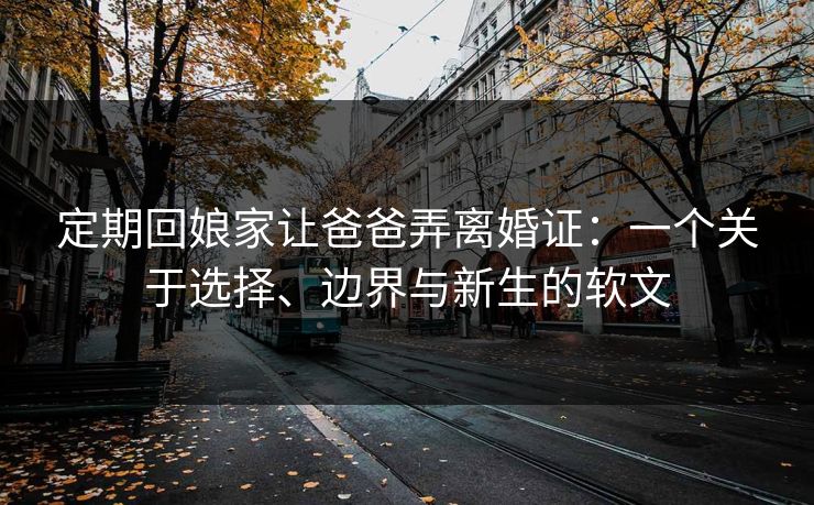 定期回娘家让爸爸弄离婚证：一个关于选择、边界与新生的软文