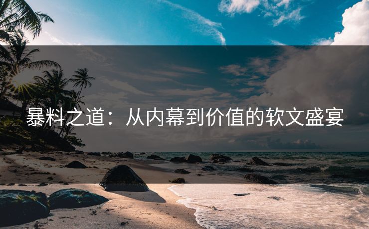 暴料之道：从内幕到价值的软文盛宴