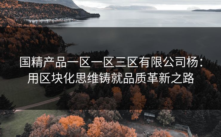 国精产品一区一区三区有限公司杨：用区块化思维铸就品质革新之路
