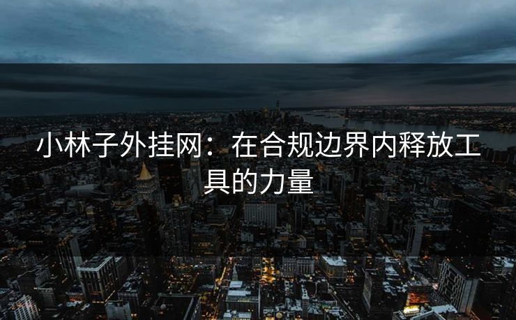 小林子外挂网:在合规边界内释放工具的力量 小林子外挂网:在合规边界内释放工具的力量