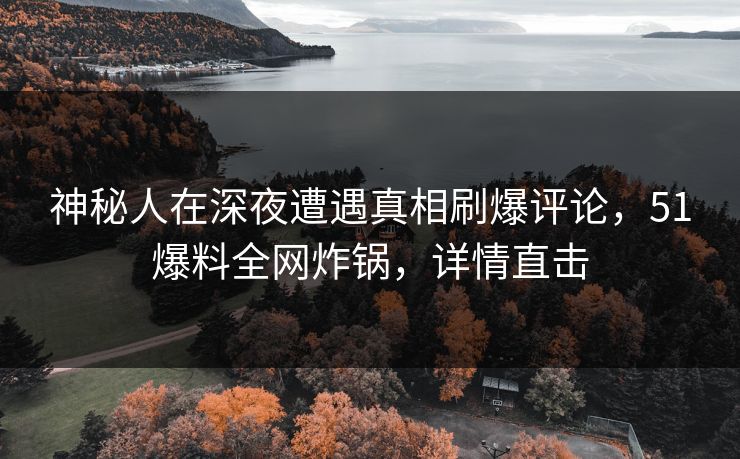 神秘人在深夜遭遇真相刷爆评论，51爆料全网炸锅，详情直击