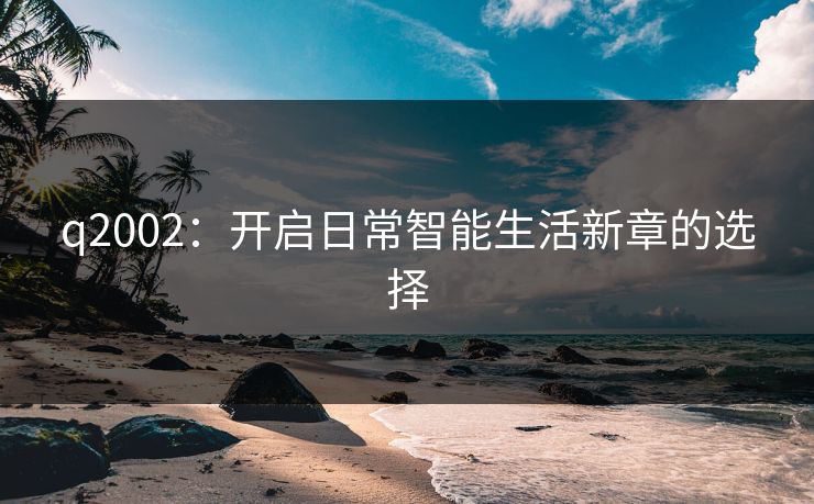q2002：开启日常智能生活新章的选择
