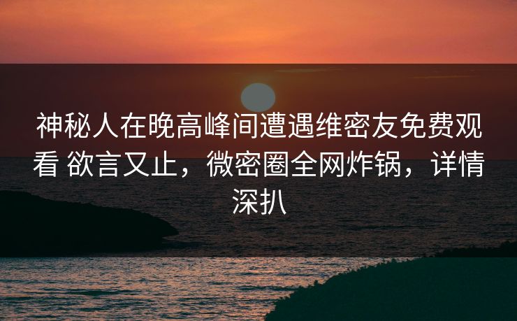 神秘人在晚高峰间遭遇维密友免费观看 欲言又止，微密圈全网炸锅，详情深扒