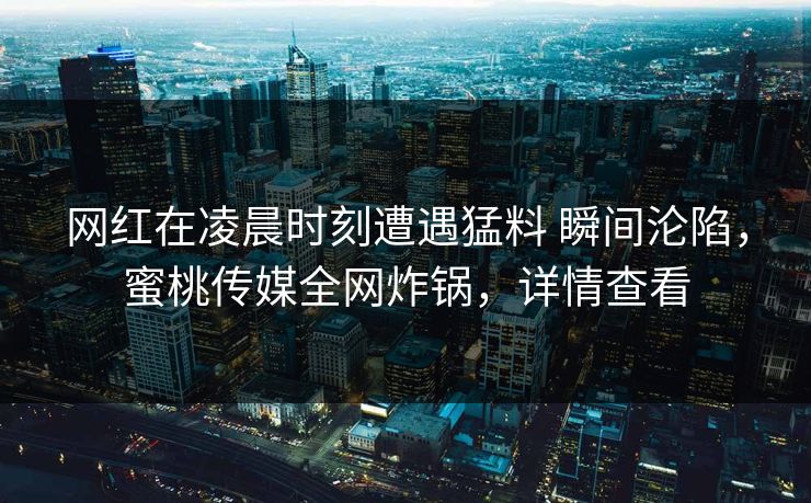 网红在凌晨时刻遭遇猛料 瞬间沦陷，蜜桃传媒全网炸锅，详情查看